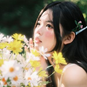 酆美彩