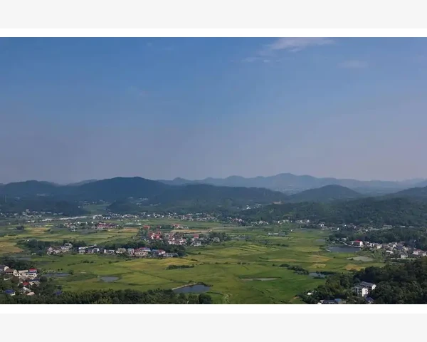 酒店支出会计分录实务操作详解