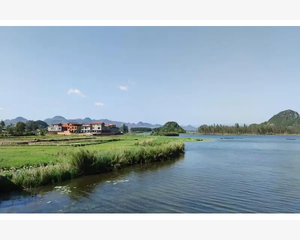 通过剖腹产手术后吃什么好：中医科普解惑与合理膳食推荐